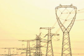 2024年甘肃省电力用户与发电企业直购电交易6月份第二批新增准入电力用户名单